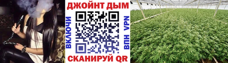 где найти   Сибай  Каннабис гибрид 